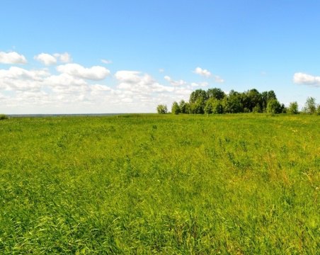 Участок 20 сот.