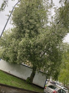 3-к квартира, 8/9 эт., 69м²