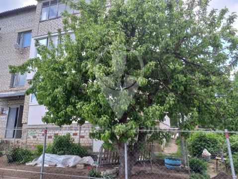3-к квартира, 3/3 эт., 72м²