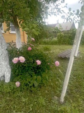 Дом 1200м², участок 12 сот.