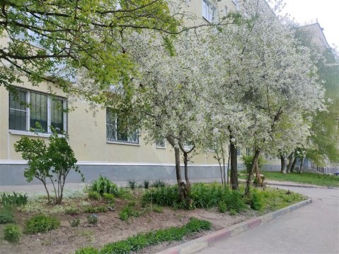 1-к квартира, 6/9 эт., 30м²