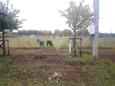 Студия, 7/7 эт., 17м²
